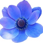 lolo the great, lolo castany, lorena castany, psicoterapia, psicologia creativa, terapia, mentoring, cursos, counselling, counseling